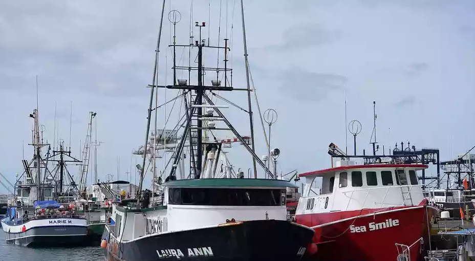 Transforming the fishing industry in the information age