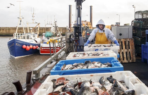 fishing industry UK
